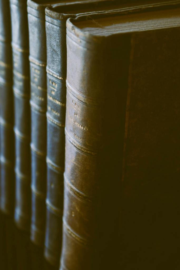 Libros encuadernados en cuero en una estantería, vistos de perfil.